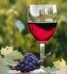 Winery Tours